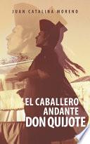 libro El Caballero Andante Don Quijote