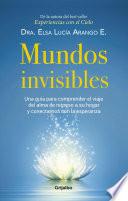 libro Mundos Invisibles