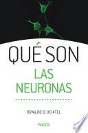 libro Qué Son Las Neuronas