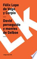 libro David Perseguido Y Montes De Gelboe