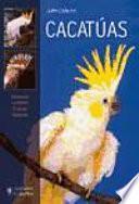 Cacatúas