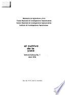 El Cultivo De La Yuca