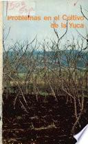 Problemas En El Cultivo De La Yuca