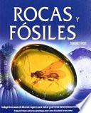 libro Rocas Y Fósiles