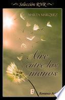 Aire Entre Las Manos (aire Y Viento 1)