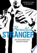 Beautiful Stranger (beautiful Bastard 2)