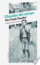 libro Chavales Del Arroyo