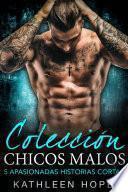 Colección Chicos Malos: 5 Apasionadas Historias Cortas