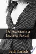libro De Secretaria A Esclava Sexual