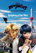 Miraculous. Ladybug Y Cat Noir. Origen