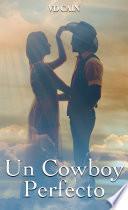 Un Cowboy Perfecto