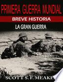 Breve Historia De La Primera Guerra Mundial. La Gran Guerra.