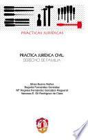 libro Práctica Jurídica Civil