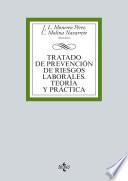 Tratado De Prevención De Riesgos Laborales