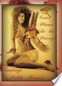 Entre Plumas De Un Petirrojo