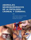 libro Abordajes Neuroquirúrgicos De La Patología Craneal Y Cerebral