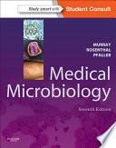 Lifting Y Estiramiento No Quirúrgico