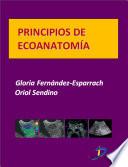 Principios De Ecoanatomía