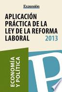 libro Aplicación Práctica De La Ley De Reforma Laboral