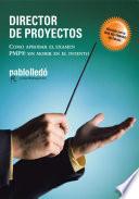 Director De Proyectos