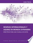 International Reserves And Foreign Currency Liquidity: Guidelines For A Data Template