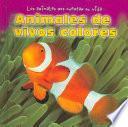 Animales De Vivos Colores