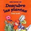 Descubre Las Plantas