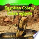 Egyptian Cobra / Cobra Egipcia