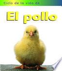 El Pollo