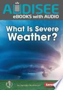 ¡el Verano Es Divertido! (summer Is Fun!)