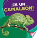 libro Es Un Camalen / It S A Chameleon