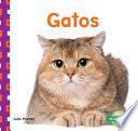 Gatos (cats)