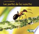 Las Partes De Los Insectos