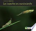 Los Insectos En Movimiento