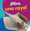 libro Mira, Una Raya! (look, A Ray!)