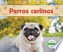 Perros Carlinos