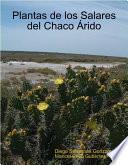 Plantas De Los Salares Del Chaco Árido