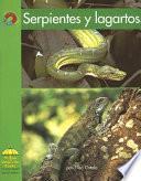 Serpientes Y Lagartos