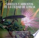 Árboles Y Arbustos De La Ciudad De Leticia