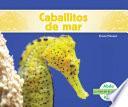 libro Caballitos De Mar (seahorses)