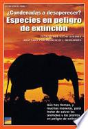 ¿condenadas A Desaparecer? Especies En Peligro De Extinción