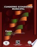 libro Coyeso Estado De Aguascalientes. Cuaderno Estadístico Municipal 1997