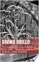 Divino Brillo