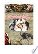 La Niña De Los 200 Peluches Y Otras Obras De Teatro Para Niños