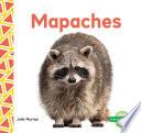 Mapaches (raccoons)