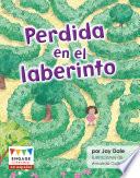 libro Perdida En El Laberinto (lost In The Maze)