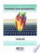 libro Perspectiva Estadística De Hidalgo