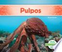 Pulpos (octopuses)