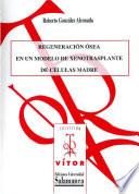 libro Regeneración ósea En Un Modelo De Xenotrasplante De Células Madre
