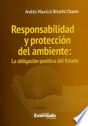 Responsabilidad Y Protección Del Ambiente: La Obligación Positiva Del Estado